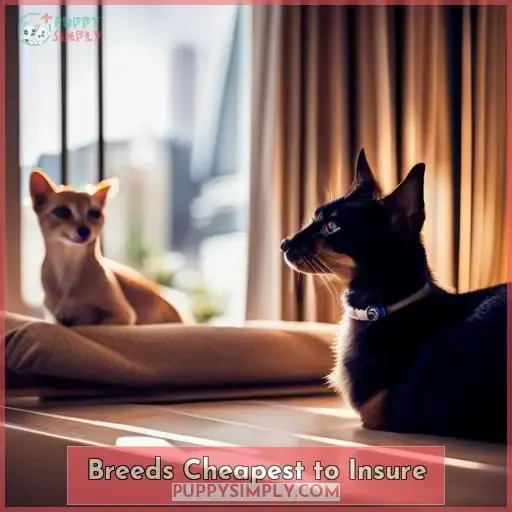 Breeds Cheapest to Insure