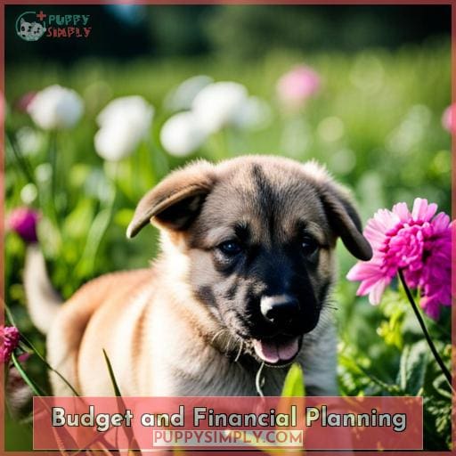 Budget and Financial Planning
