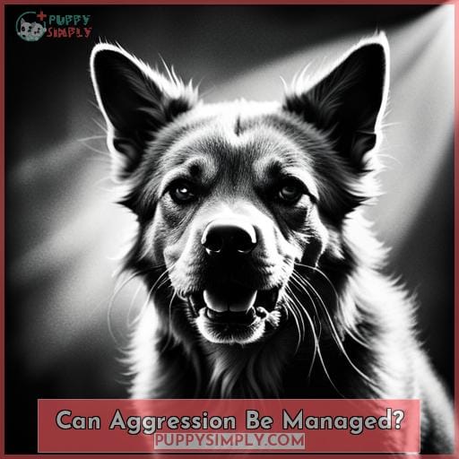 Can Aggression Be Managed