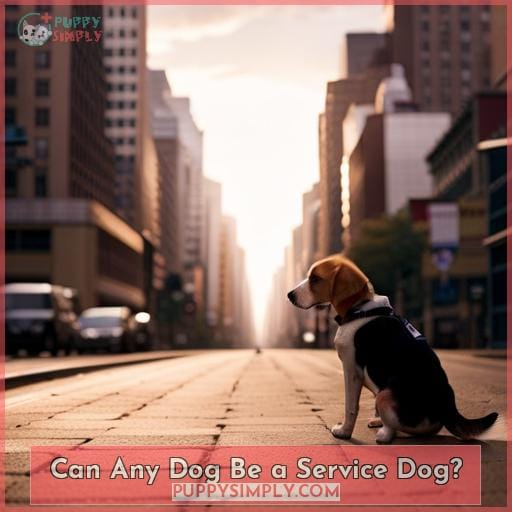 Can Any Dog Be a Service Dog