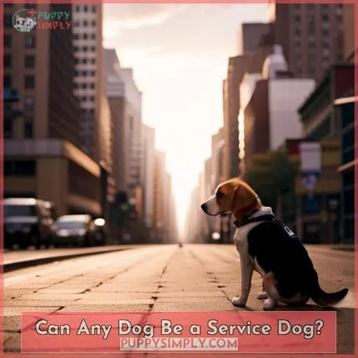 Can Any Dog Be a Service Dog