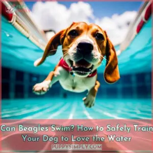 can beagles swim