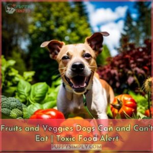 can dogs eat fruits and vegetables