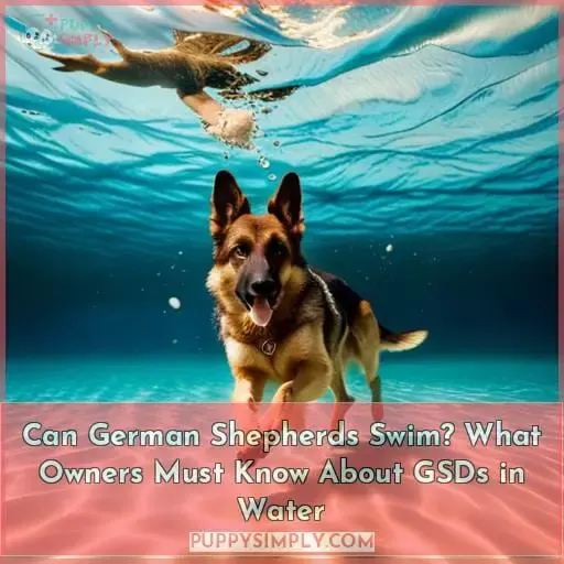 can german shepherds swim