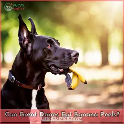 Can Great Danes Eat Banana Peels