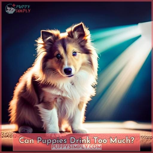 Can Puppies Drink Too Much Can Puppies Drink Too Much