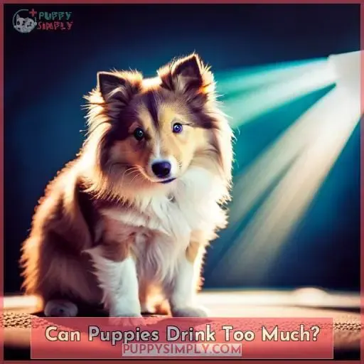 Can Puppies Drink Too Much