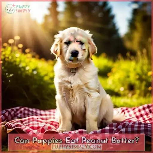Can Puppies Eat Peanut Butter