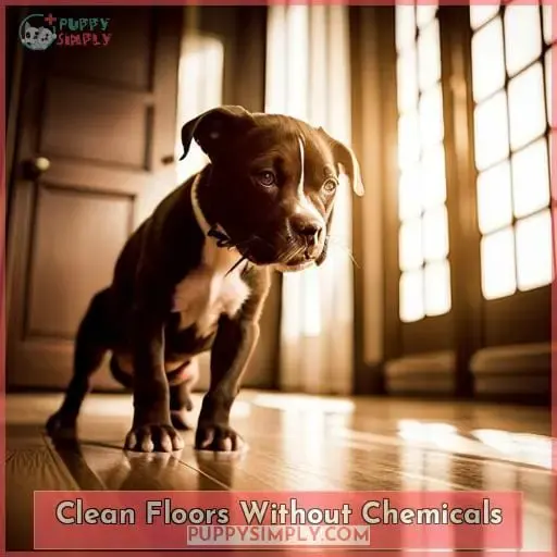 Clean Floors Without Chemicals