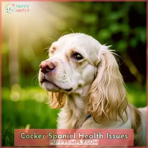 Cocker Spaniel Health Issues