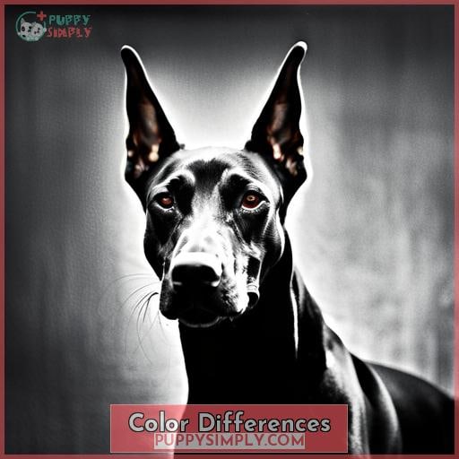 Color Differences