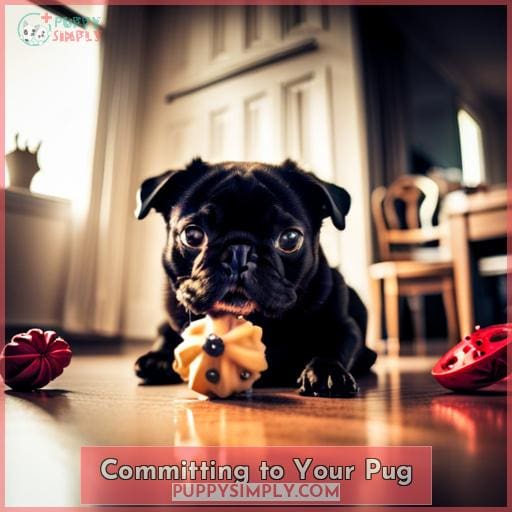 Committing to Your Pug