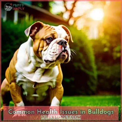 Common Health Issues in Bulldogs