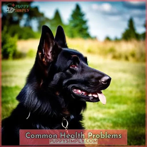 Common Health Problems