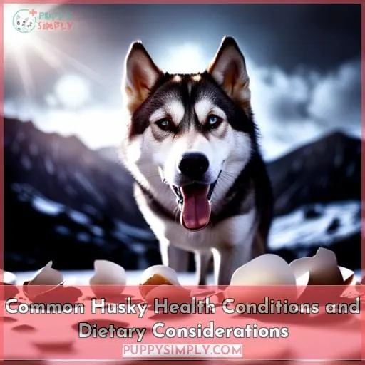 Common Husky Health Conditions and Dietary Considerations