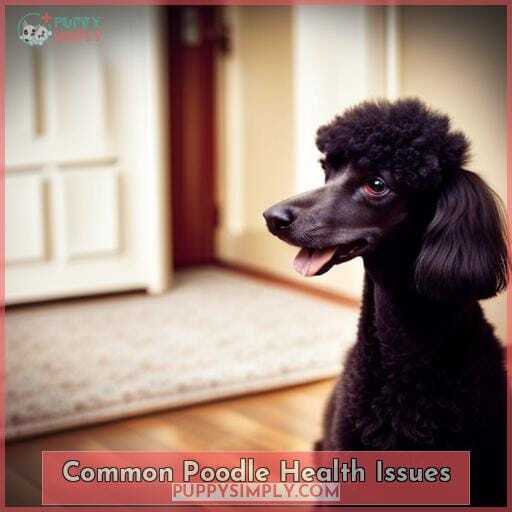 Common Poodle Health Issues Common Poodle Health Issues
