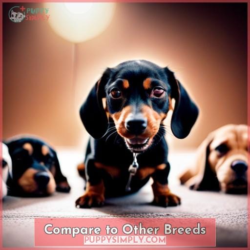 Compare to Other Breeds
