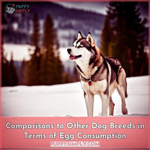 Comparisons to Other Dog Breeds in Terms of Egg Consumption