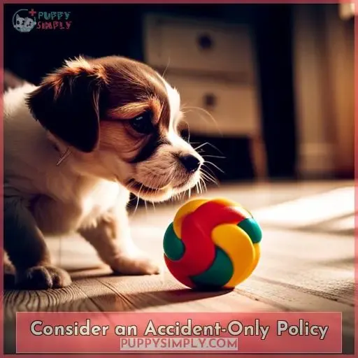 Consider an Accident-Only Policy
