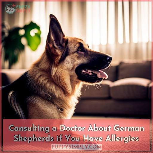 Consulting a Doctor About German Shepherds if You Have Allergies
