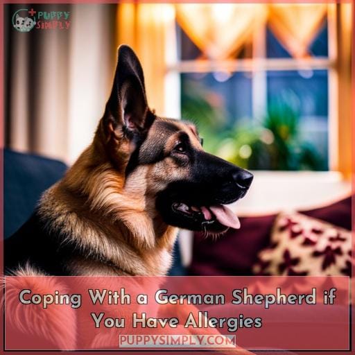 Coping With a German Shepherd if You Have Allergies