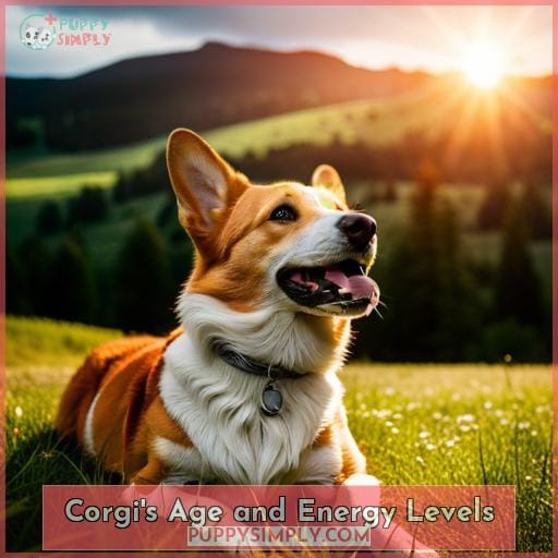 When Do Start Calming Down? Tips to Manage High Energy