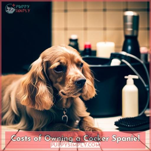 Costs of Owning a Cocker Spaniel
