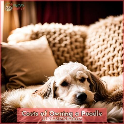 Costs of Owning a Poodle Costs of Owning a Poodle