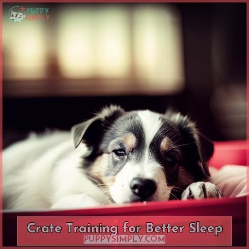 Crate Training for Better Sleep Crate Training for Better Sleep
