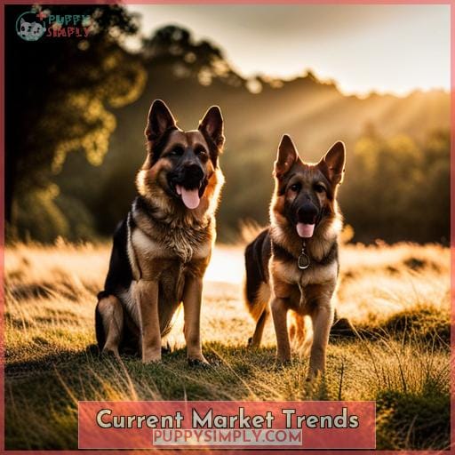 Current Market Trends