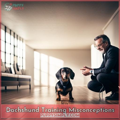 Dachshund Training Misconceptions Dachshund Training Misconceptions