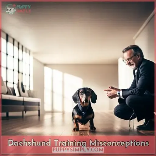 Dachshund Training Misconceptions