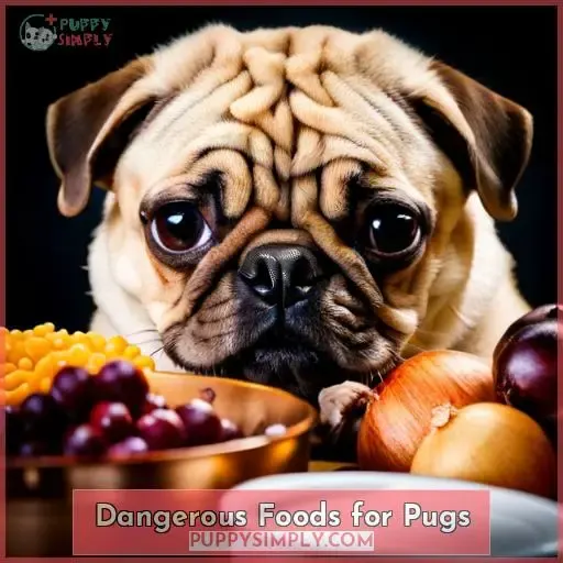 Dangerous Foods for Pugs