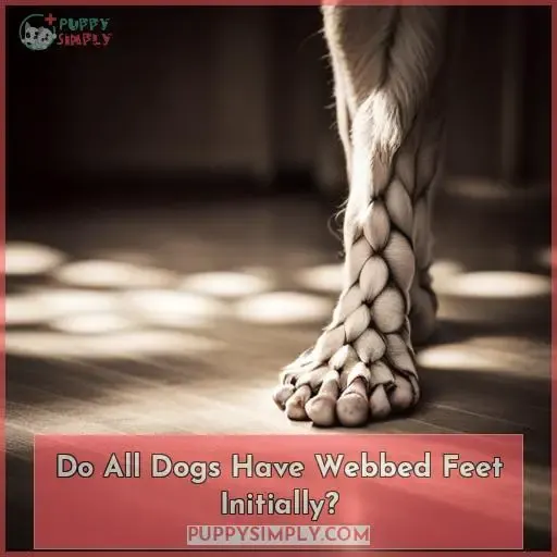 Do All Dogs Have Webbed Feet Initially