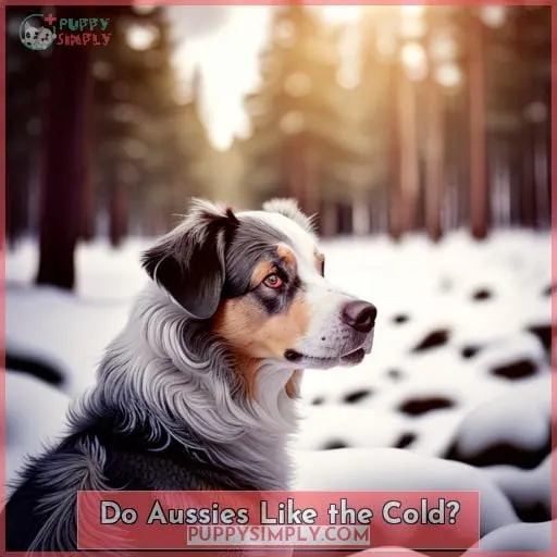 Do Aussies Like the Cold