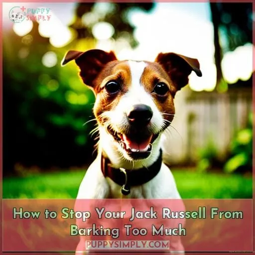 do jack russell terriers bark a lot