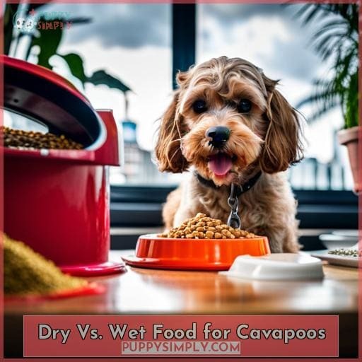 Cavapoo Feeding Schedule How Much and How Often From Puppy to Adult