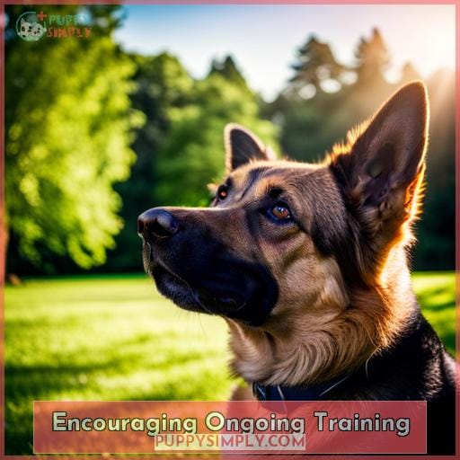 Encouraging Ongoing Training