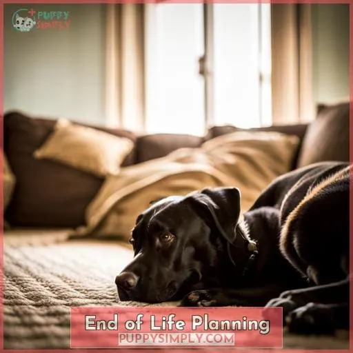 End of Life Planning