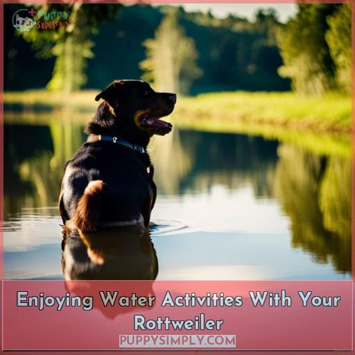 Enjoying Water Activities With Your Rottweiler