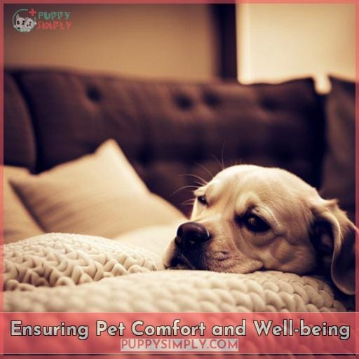 Ensuring Pet Comfort and Well-being