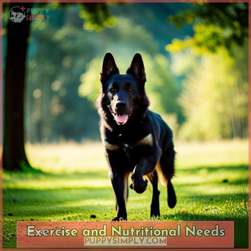 Exercise and Nutritional Needs