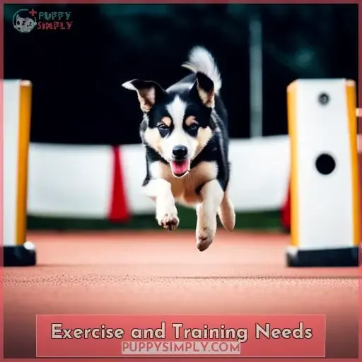 Exercise and Training Needs