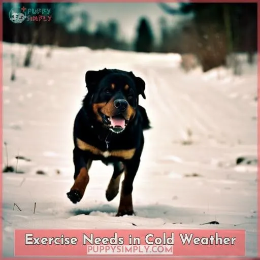 Exercise Needs in Cold Weather