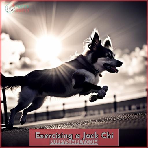 Exercising a Jack Chi