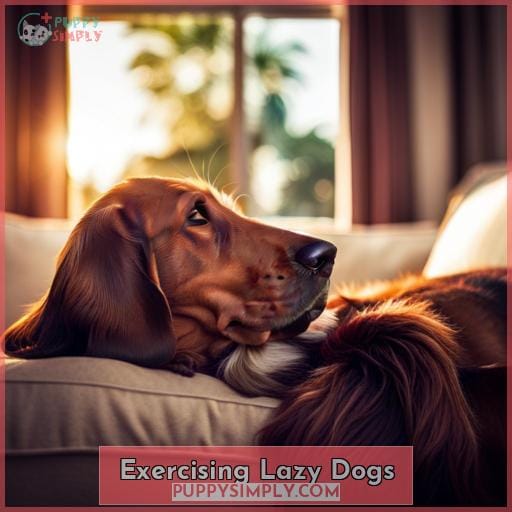 Exercising Lazy Dogs