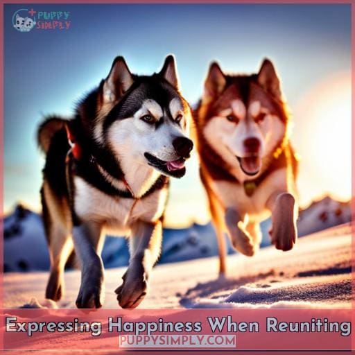 Expressing Happiness When Reuniting