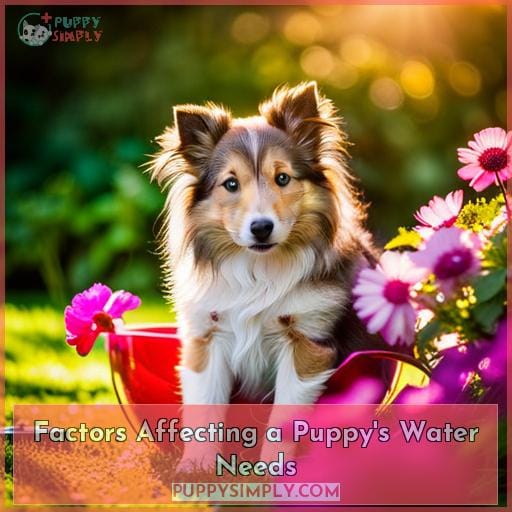 Factors Affecting a Puppy's Water Needs Factors Affecting a Puppy's Water Needs