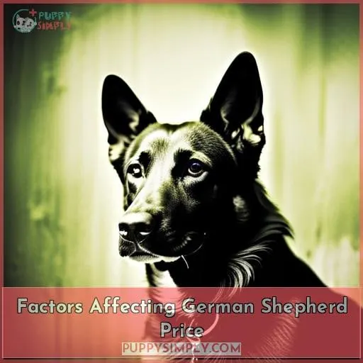 Factors Affecting German Shepherd Price