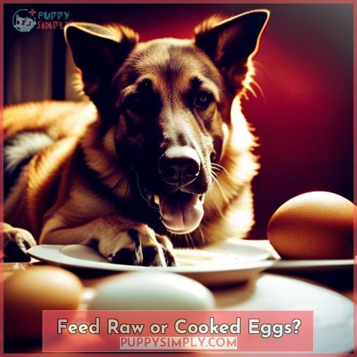 Feed Raw or Cooked Eggs